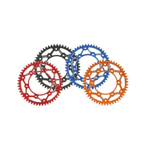 Rear sprocket CHT ergal Beta RR 300 (13-25) 48 teeth CHT.210EC.48