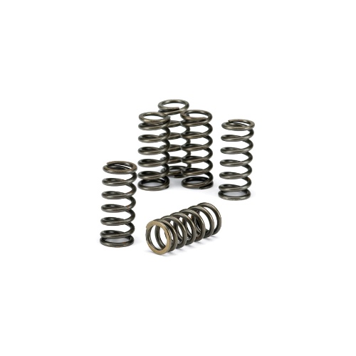 Clutch springs Husaberg 250 TE (11-12) CSK080