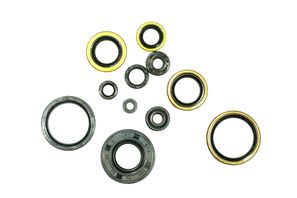 Engine Seal Set NRTeam Kawasaki KX 250 (95-03) GK3021OS