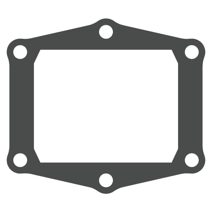 Reed valve Gasgas 300 EC (99-18) - V-Force 3 (gasket only) MTG305