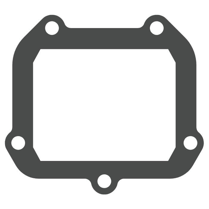 Reed valve KTM 150 SX (09-15) - V-Force 3 (gasket only) MTG306