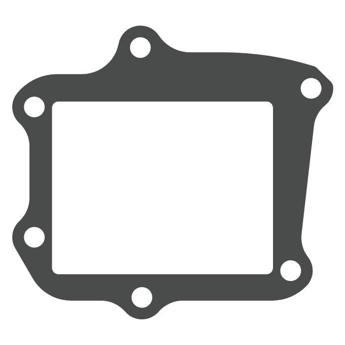 Reed valve Honda CR 125 (05-07) - V-Force 3 (gasket only) MTG321